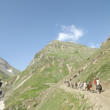 Untitled design (54)