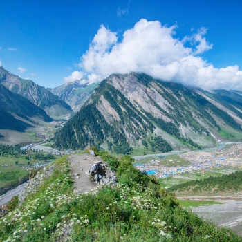 Untitled design (55)